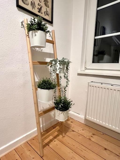 Stadtoase Design Wohnung In Der Altstadt Von Koblenz Coblenza Exterior foto